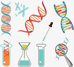一组生物化学图案