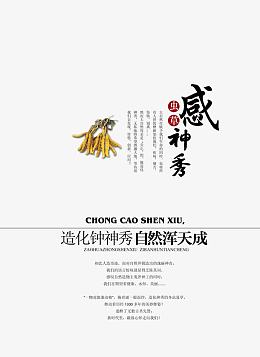 冬虫夏草