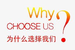 为什么选择我们炫酷字体设计