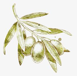 黄色橄榄果