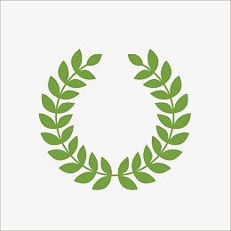 橄榄枝