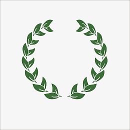 橄榄枝