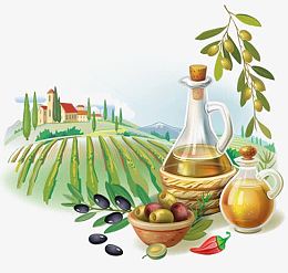 橄榄油