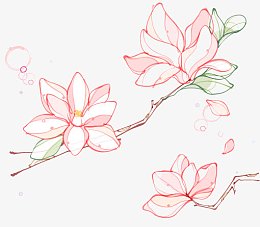 彩绘木兰花矢量素材