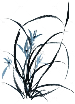 手绘兰花