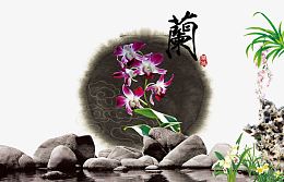 中国风兰花背景免抠素材