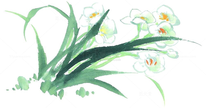 彩墨兰花