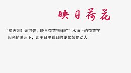 荷花别样红艺术字