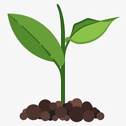 优势生态生态学友好的绿色自然植