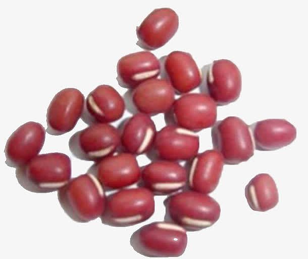 红色豆子健康红豆