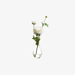 欧美流行插花 绿植物 鲜花软装