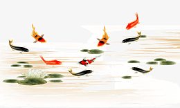 鱼与莲花