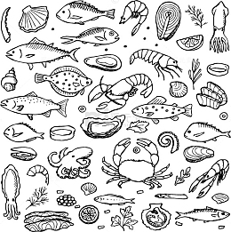 手绘食物线描稿