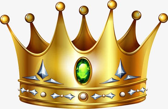 png黄色冠军图标免抠图(2000x2000)png金色冠军锦旗图案(262x39)aa