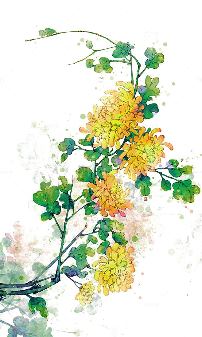 手绘花卉黄色菊花
