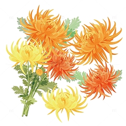 手绘金色的菊花矢量素材