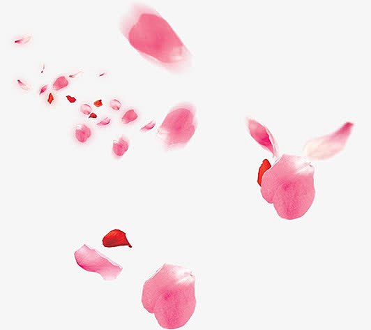 粉色花瓣设计漂浮