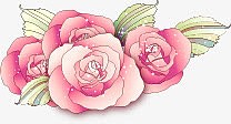 粉色淡雅手绘康乃馨花朵
