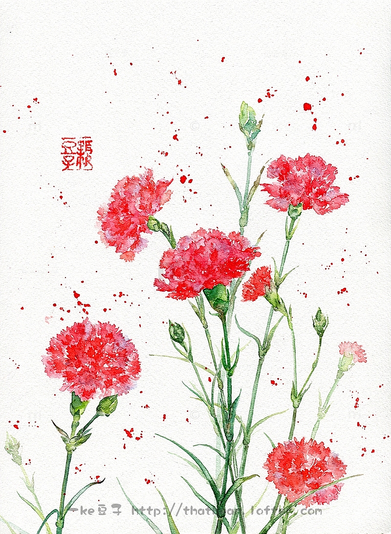 红色新鲜鲜花康乃馨