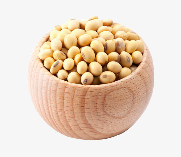 黄豆素材免费下载_觅元素