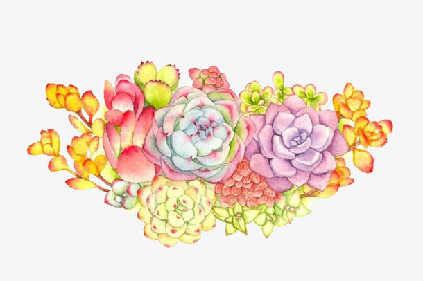 彩色多肉植物花束