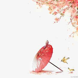 水墨手绘彩色小鸟插画