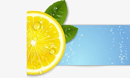 矢量新鲜柠檬橘子水果素材