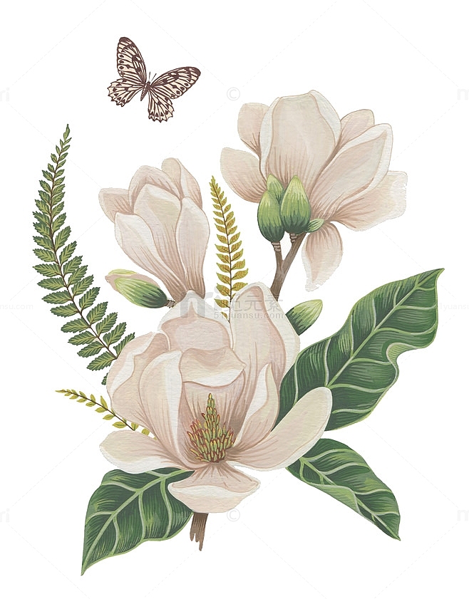 手绘白色花朵绿叶蝴蝶