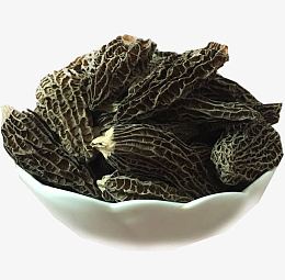云南野生羊肚菌