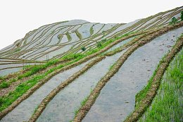 云南梯田