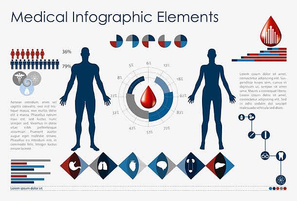 血滴和人体器官信息图表图片