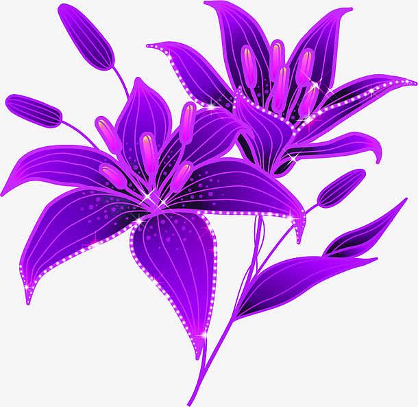 紫色唯美星光花朵