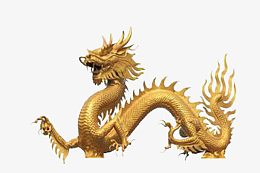 黄色金龙