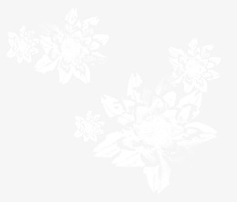 冰花
