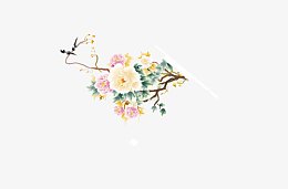 牡丹