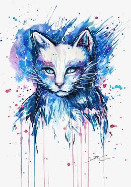 太空猫