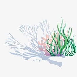 手绘海藻矢量图