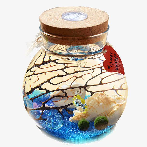 海藻球带夜灯生态瓶