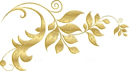 金色植物花纹