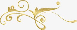 金色植物花纹