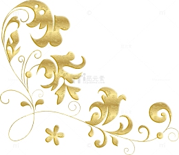金色花纹