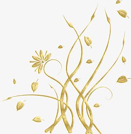 金色花纹