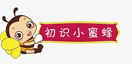 小蜜蜂边框