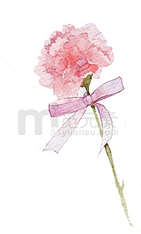 粉色水彩丝带花朵母亲节