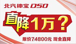 D50车顶牌