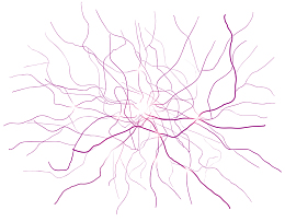 矢量创意紫色炫丽科技感激光