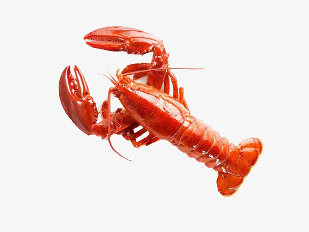 关键词 : 海鲜,动物,美食,红色小龙虾[声明] 觅元素所有素材为用户