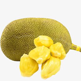 黄肉菠萝蜜