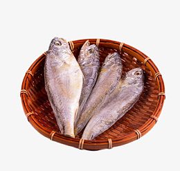 大连小黄鱼