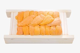 海胆矢量